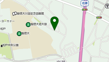 SANパーク松戸岩瀬1の地図画像
