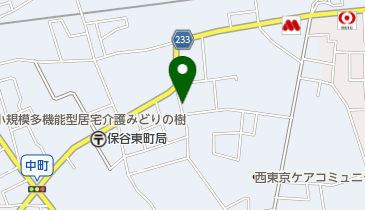 SANパーク西東京東町1の地図画像