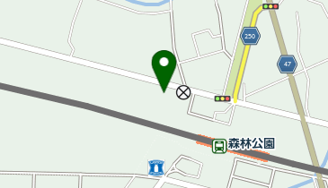 TOBU PARK森林公園北口駐車場の地図画像