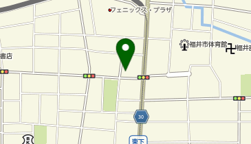 システムパーク田原第4の地図画像