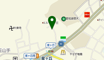 システムパーク星が丘山手の地図画像
