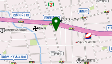 システムパーク西桜町第2の地図画像
