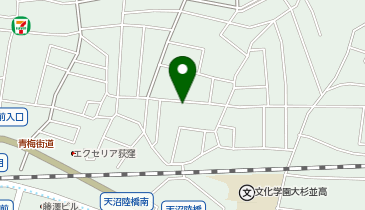 システムパーク天沼1丁目の地図画像