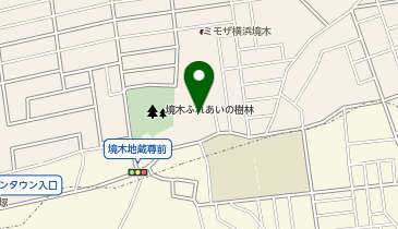 グランディーシステムパーク境木本町の地図画像