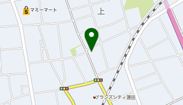 蓮田上2丁目onedayparkの地図画像