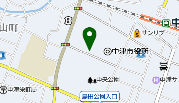 中津市営豊田町駐車場の地図画像