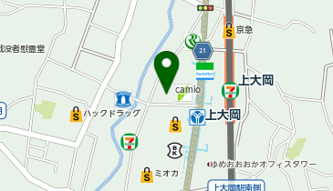 カミオ駐車場の地図画像