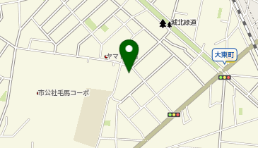 マッスルパーク大東町の地図画像