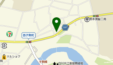 カクタス子飼本町パーキングの地図画像