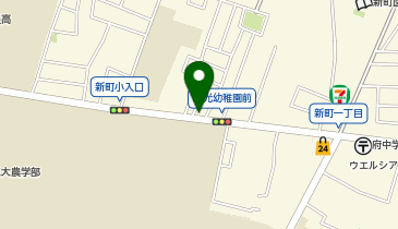 PARKS PARK 府中市新町1丁目の地図画像