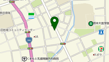 ザ・パーク南熊本の地図画像