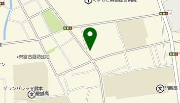 ザ・パーク大江3丁目の地図画像