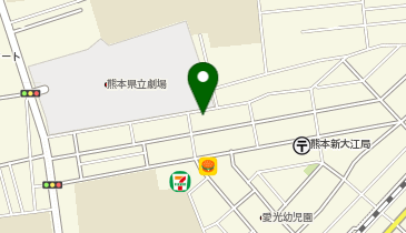 ザ・パーク新大江2丁目第1の地図画像