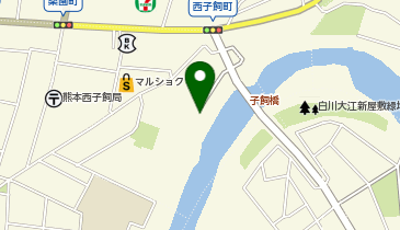 ザ・パーク東子飼町の地図画像