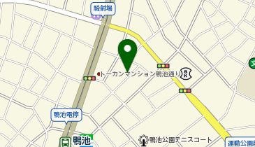 ザ・パーク鴨池第1の地図画像