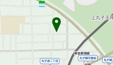リビングパーク上丸子天神町第2の地図画像