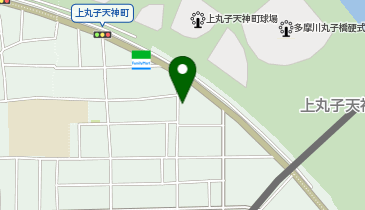 リビングパーク上丸子天神町第1の地図画像