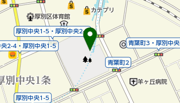 新札幌科学館前路上自転車駐車場の地図画像