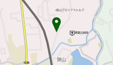 アピス薬局 狭山店の地図画像