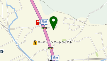 がんだ薬局の地図画像