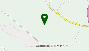 旧種子島空港跡地の地図画像